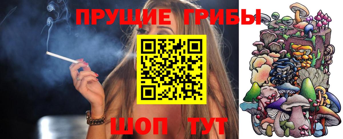 Тосно  Галлюциногенные грибы MAGIC MUSHROOMS  Вход с VPN 