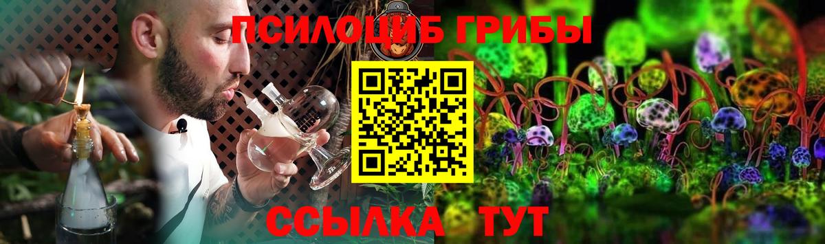 Галлюциногенные грибы прущие грибы Тосно